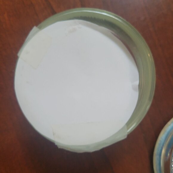 Vintage Lucite Paperweight Set With Natural Shells Flowers & Pinecone In Clear D - Picture 3 of 8